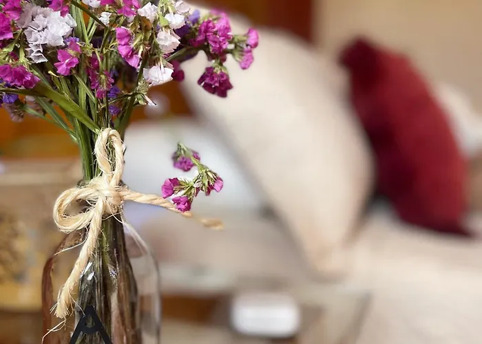 Casa Paqocha - & Garden - Shared Kitchen & Hot Water ホテル *